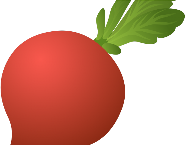 Radish Clipart Transparent - Arthwick Store Vector Illustration Of A Radish Charm (640x480)