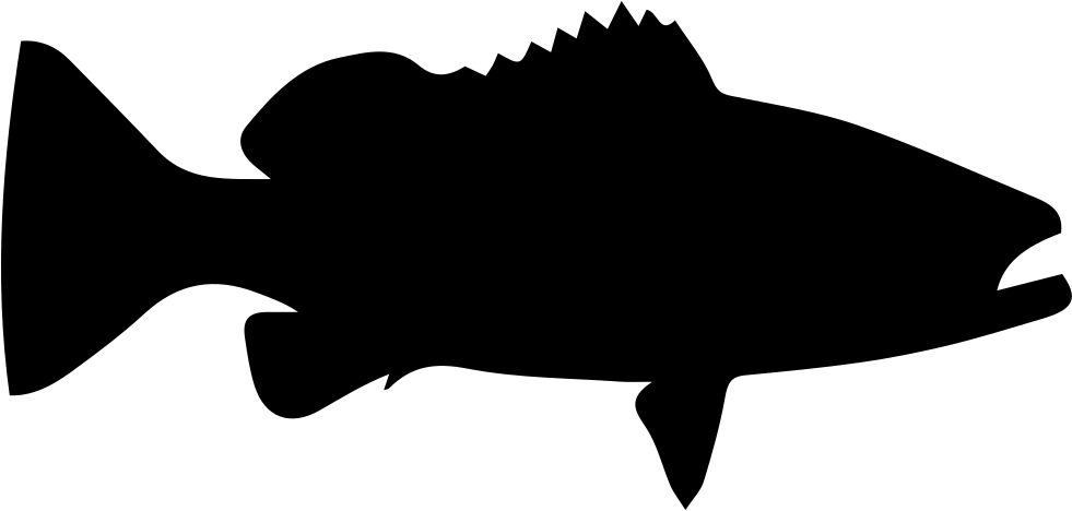 Warsaw Grouper Fish Shape Svg Png Icon Free Download - Portable Network Graphics (981x468)
