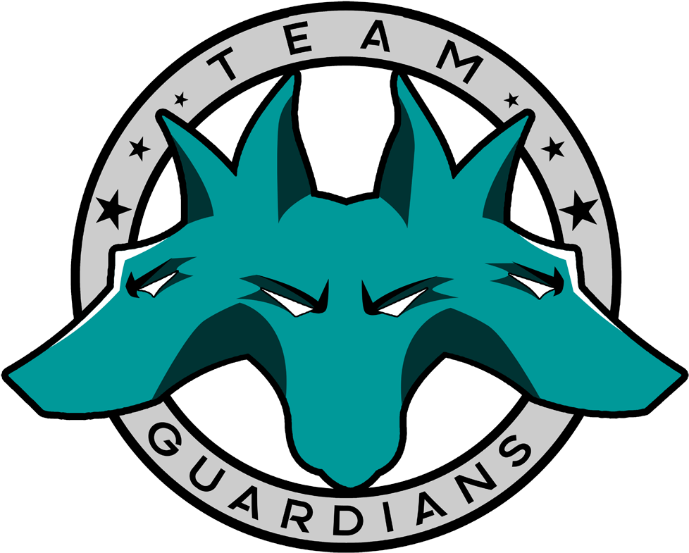 Teamguardians - Sponsor (1000x1000)