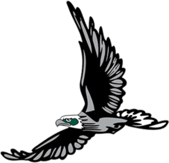 South Walton Logo - Flying Eagle Car,camper Bike Van Window Stickers Decals (480x362)