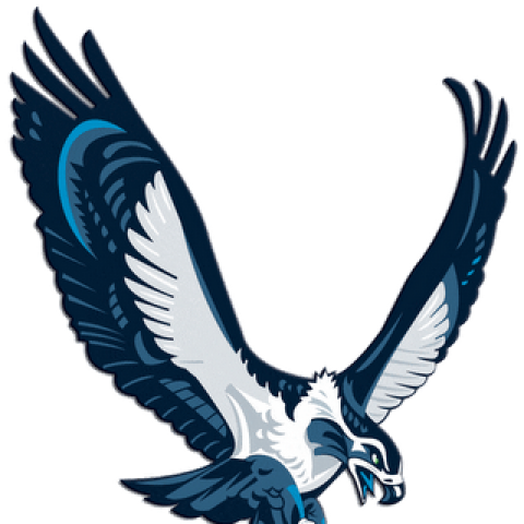 Columbia Basin College Mascot (480x480)