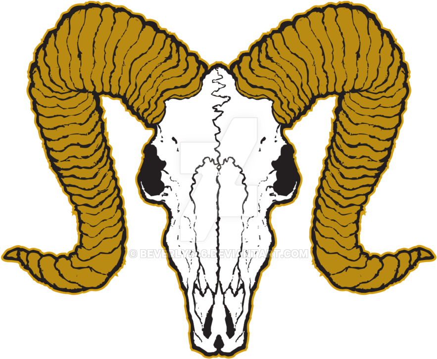 Ram Skull By Beverly546 On Deviantart Ram Horns Png - Art (900x737)