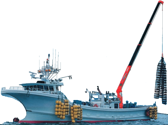 Ocean Crane - Tugboat (536x400)