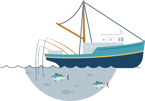 Fished Through Pole & Line Fishing On Schools Identified - Sail (516x343)