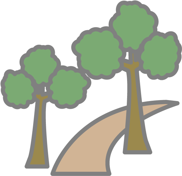 View All Images-1 - Sabal Palmetto (640x640)