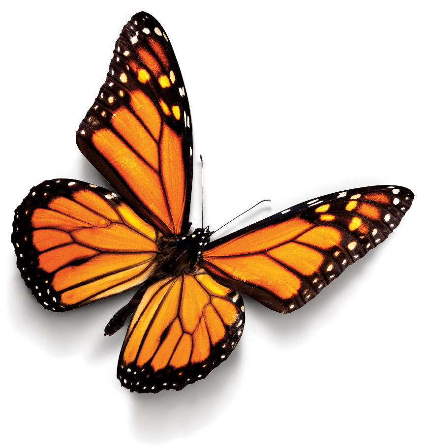 1 - Free To Be You (866x911)