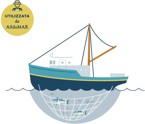 Purse Seine Fishing On Free Schools - Pesca Con Rete Da Circuizione (494x421)