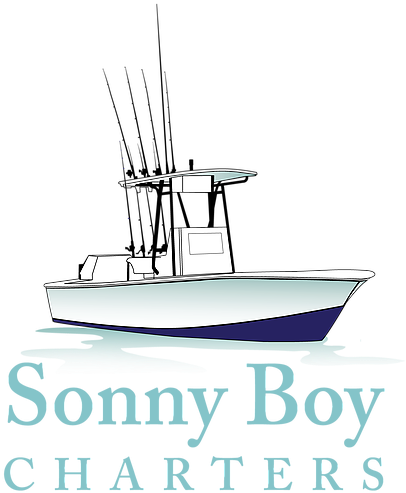 Fishing Charters, Dolphin Watching And Sunset Tours - Isle Of Wight Logo (420x494)