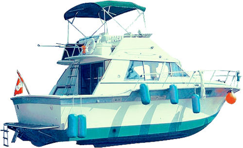 Corona Perfect Binder - Kayık Png (500x304)