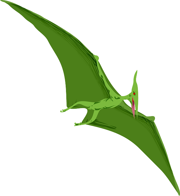 Animal Green, Flying, Dino, Color, Wings, Dinosaur, - Pterodactyl Clipart (691x750)