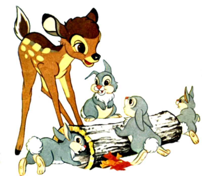 Bambi Et Lapins Ded - Cartoon (800x698)