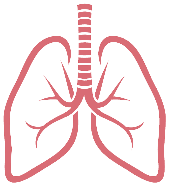 Lungs Png Picture - Best Who Would Win Memes (804x906)