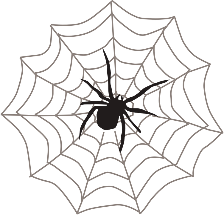 Drawn Spider Web Transparent - Spider In Web Clipart (752x720)