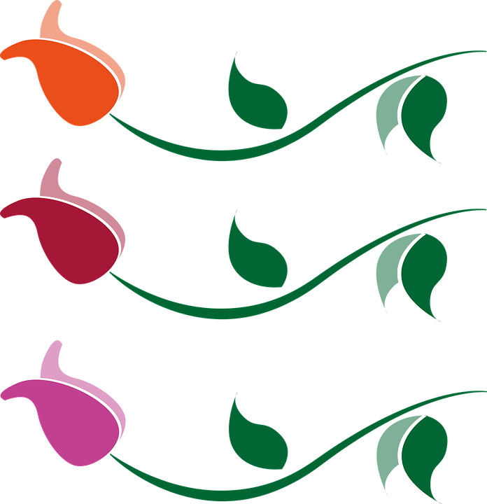 Cliparts Leaves Wallet 16, Buy Clip Art - Terre D'hermès (696x720)