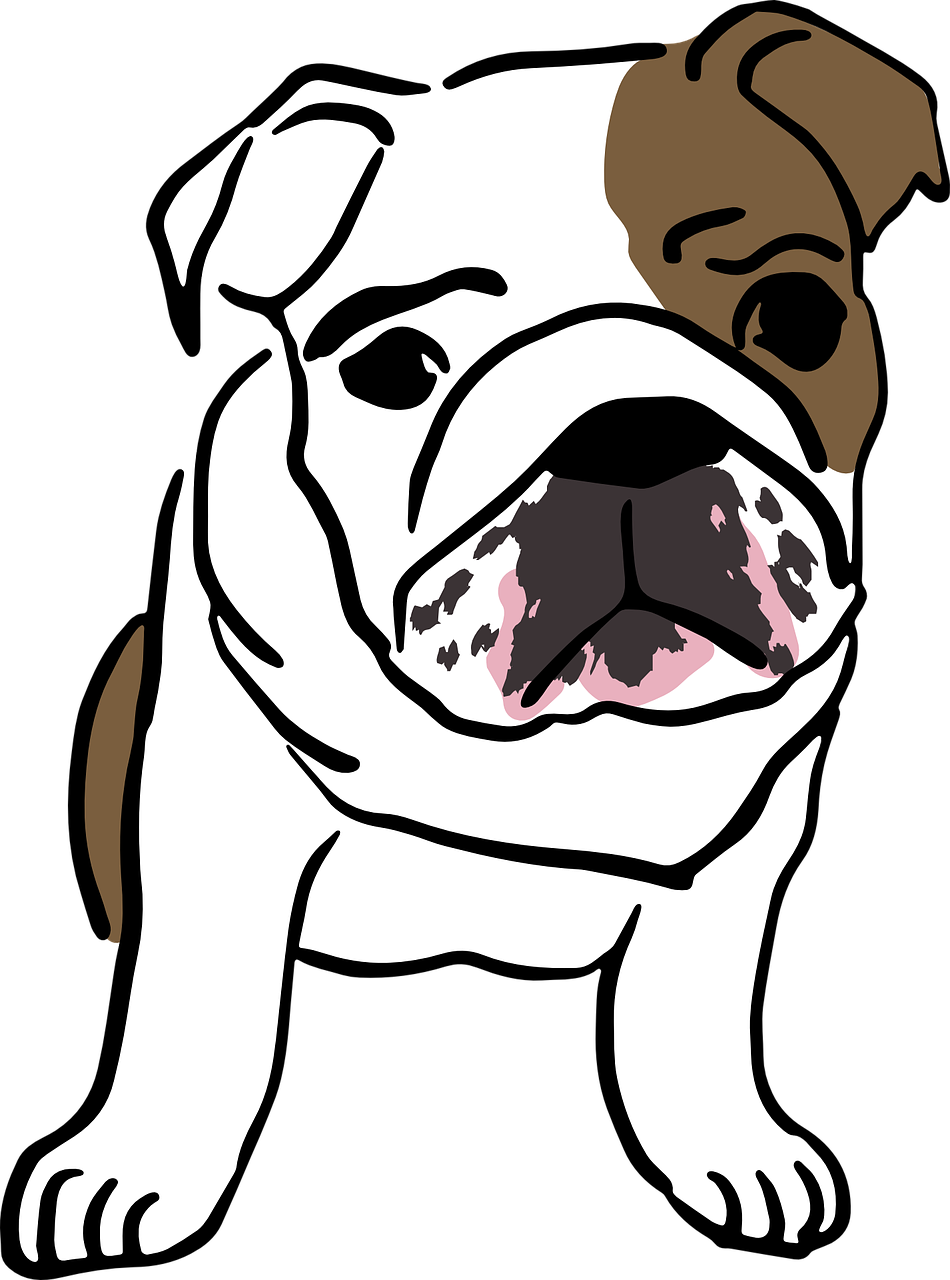 Sunday Fun Day The Dog Days Of Summer - Bulldog Ingles Desenho Png (950x1280)