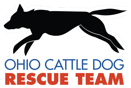 Ohio Cattle Dog Rescue Team (444x300)