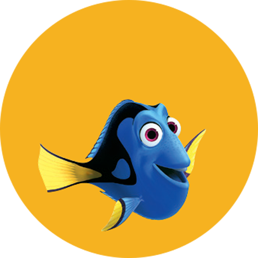 Dory - Style A - Dory - Style C - Finding Dory Party Invites (530x530)