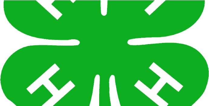 4-h Babysitting Course - 4 H (750x350)