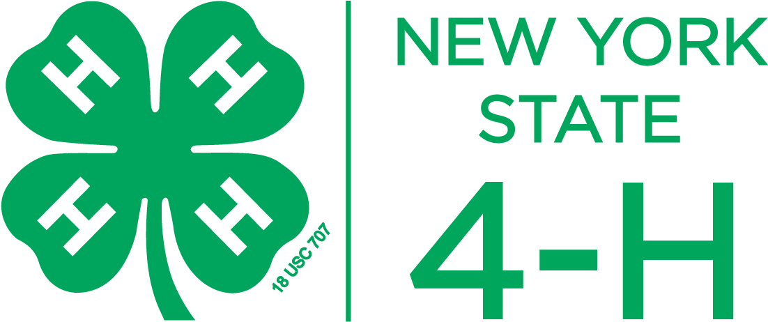 Nys 4 H Logo, Color, Vertical, Png - New York State 4 H (1102x523)