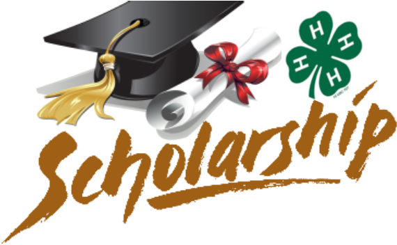 For Those Of You Who Are Considering Applying For A - Class Of '62 [book] (636x375)