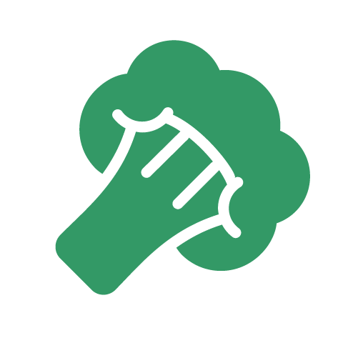 Broccoli Icon - Broccoli (487x487)