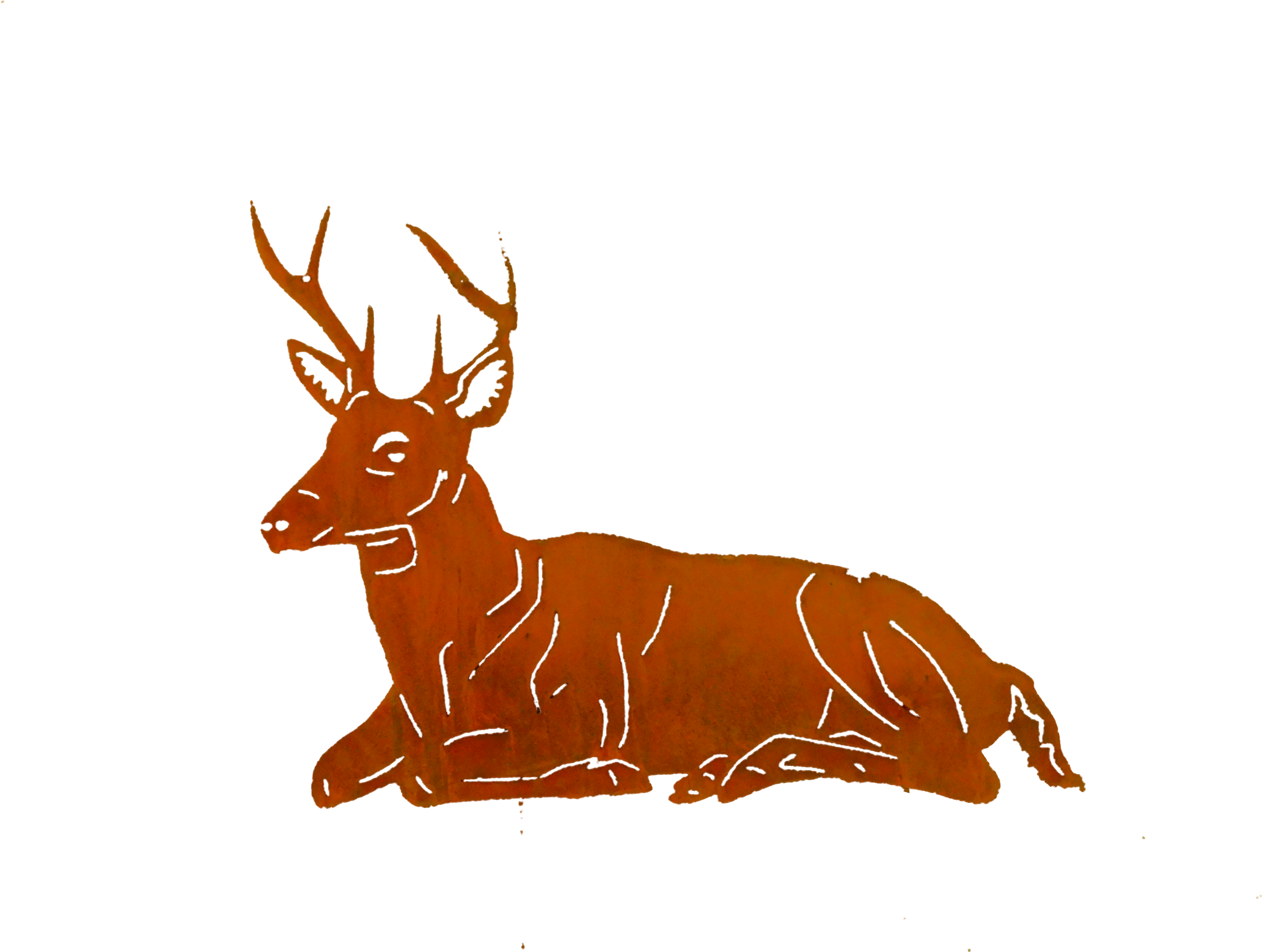 Bedded Buck - Zen Cart (4608x3456)