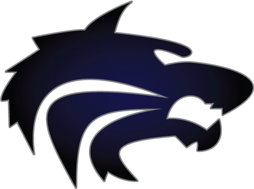 800m Run - Lake City High School Logo (900x669)