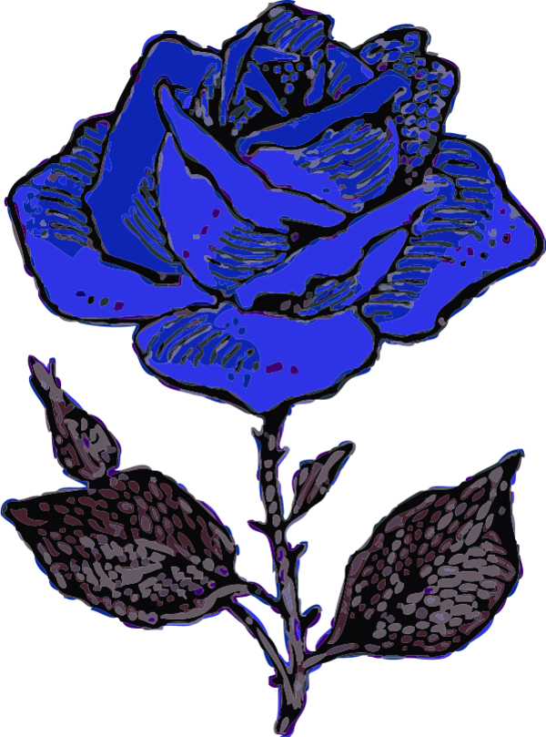 Rose - Blue Rose Clipart (600x809)