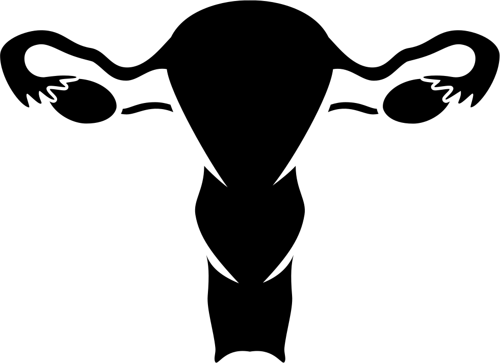 Nfm Vaginal Bleeding Comments - Gynaecology (981x712)