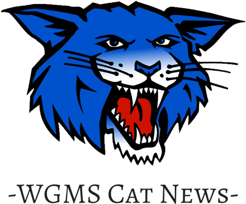Cat News - Wgms Wildcats (500x500)