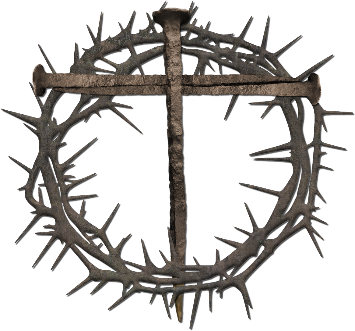 Crown Of Thorns Clipart Free - Crown Of Thorns Clipart Free (1207x1196)