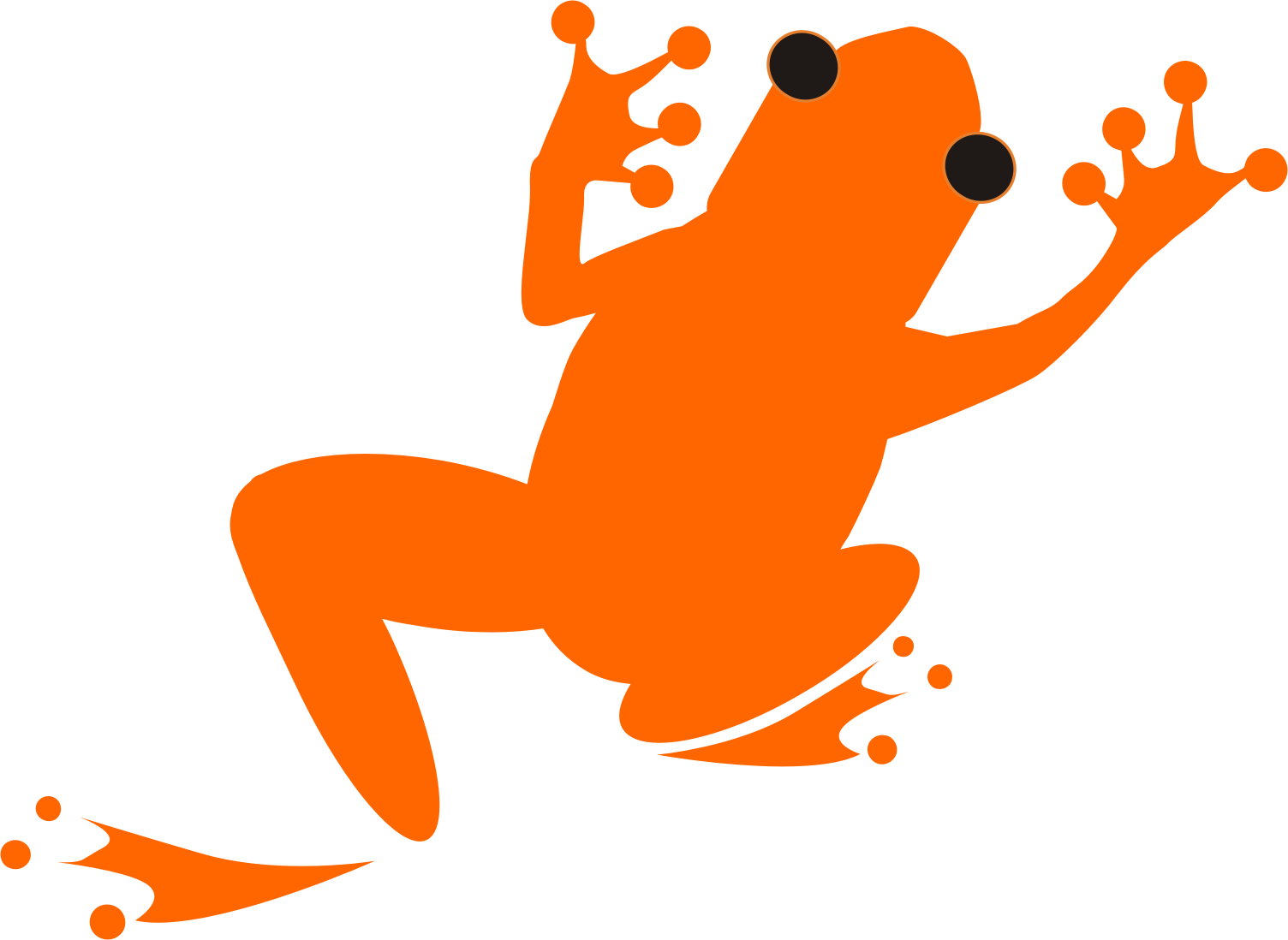 Happy Leap Year - True Frog (1504x1098)