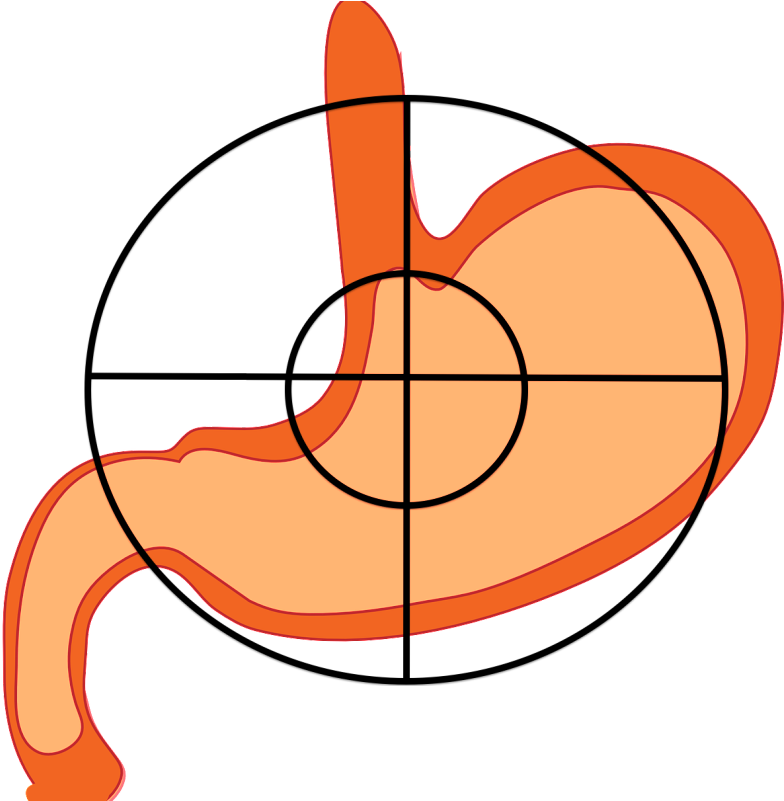 There Is Nothing More Frustrating Than A Stomach Ache - Stomach (800x800)