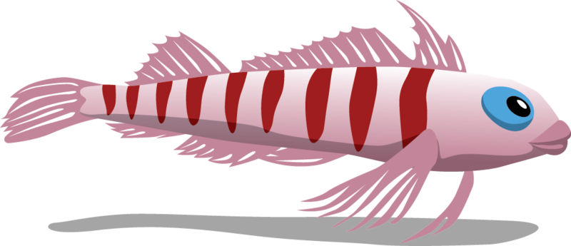What Will Be The Impact Of Dredging And Sediment Disturbance - Illustration (800x345)