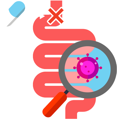 Your Probiotics May Not Have Survived The Stomach Acid - Digestive Tract Vector (400x393)