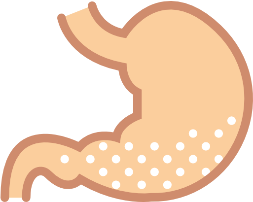 Acid, Medical, Body Parts, Anatomy, Organ, Stomach - Stomach Png Cartoon (512x512)