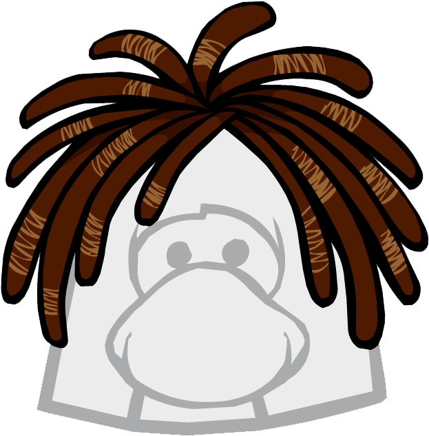 The Surf Knot - Club Penguin The Surf Knot (720x658)