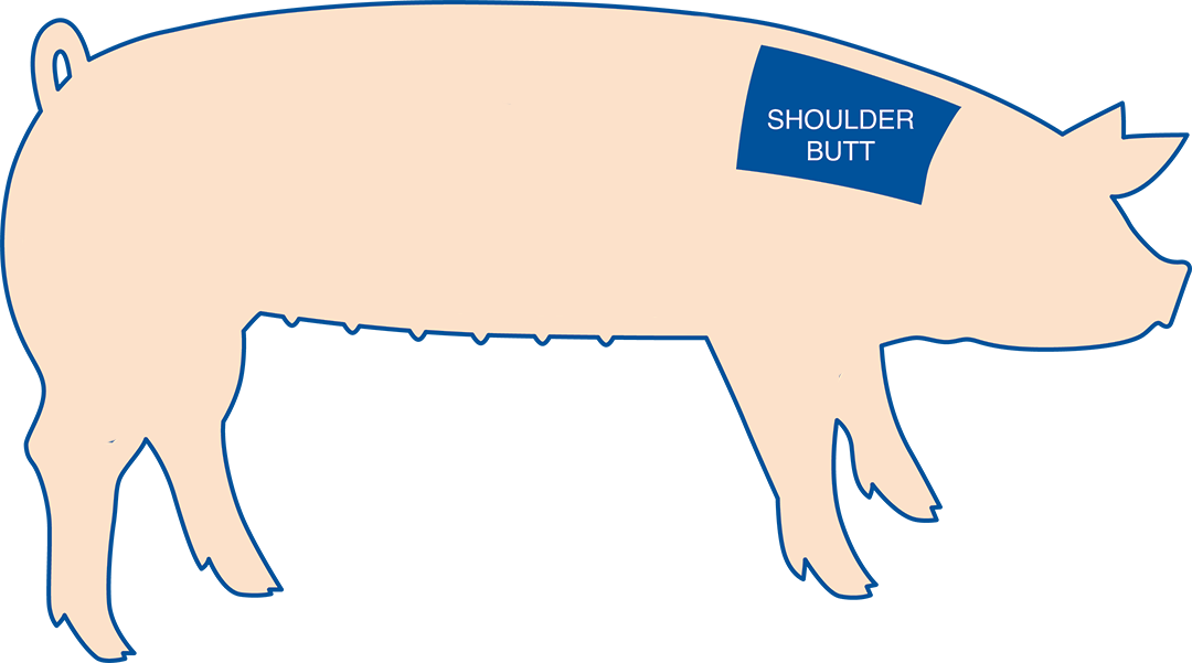 Pork Shoulder Is The Top Portion Of The Front Leg Of - Blade Steak On Pig (1080x601)