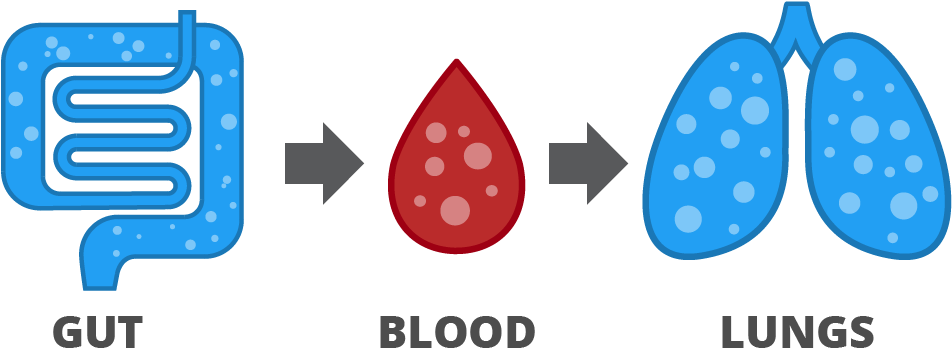 Aire Is A Breathalyser That Reads Hydrogen That Is - Aire Digestive Tracker (1060x430)