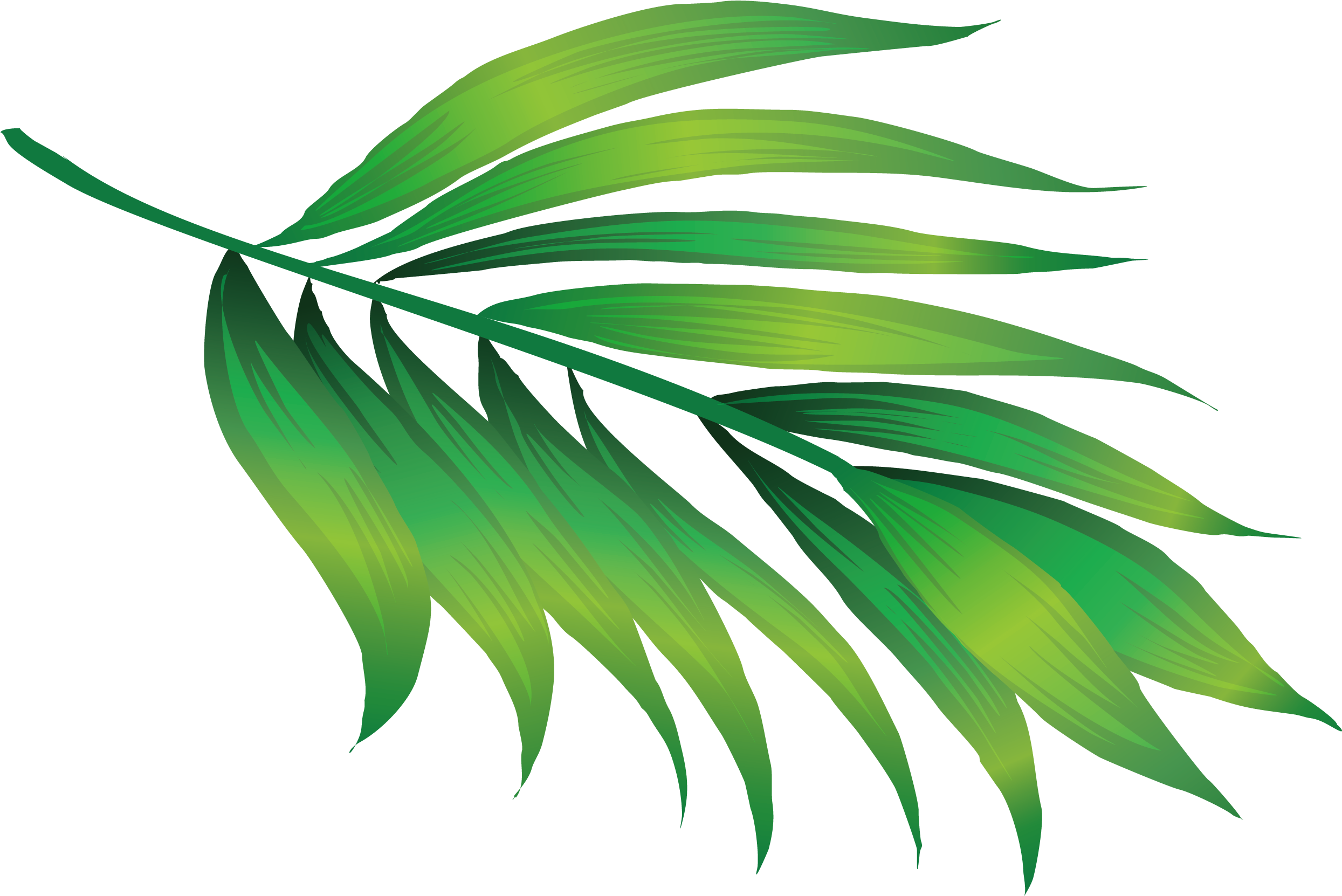 Hawaii Icon - Hawaii Leaves - Hawaii Leaf Png (2917x2917)