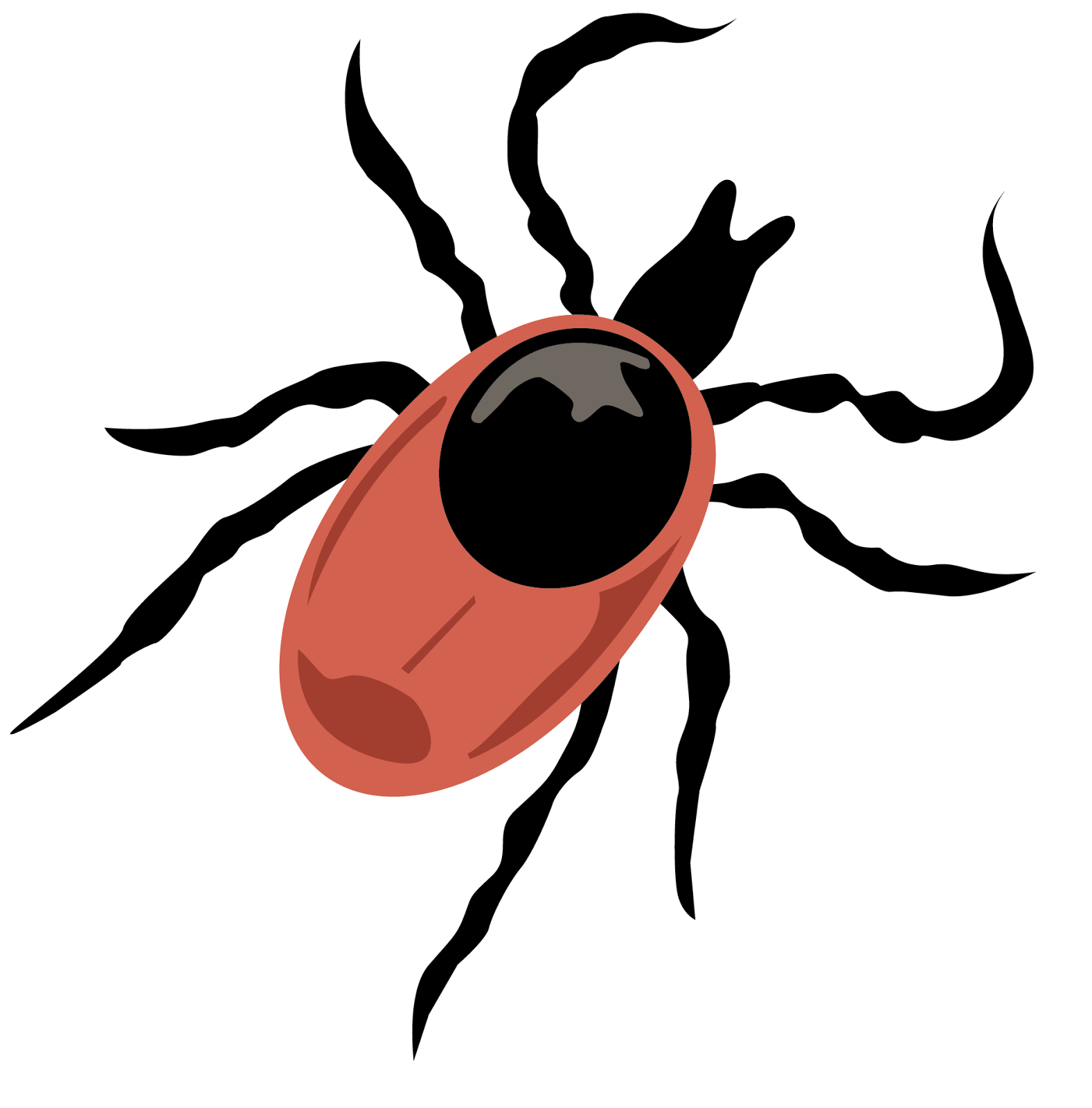 What Are Ticks, And Should I Be Concerned - Leaf Beetle (1577x1600)