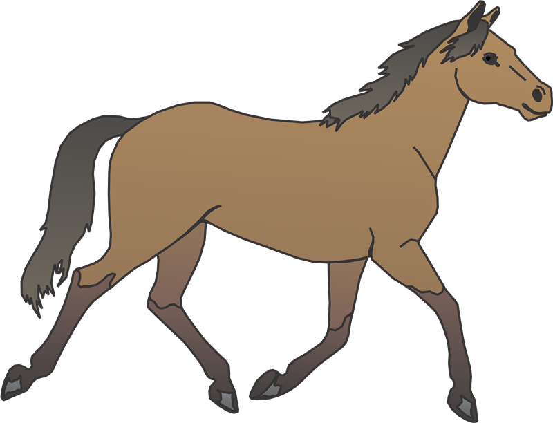 Best - Horse Clipart (800x612)