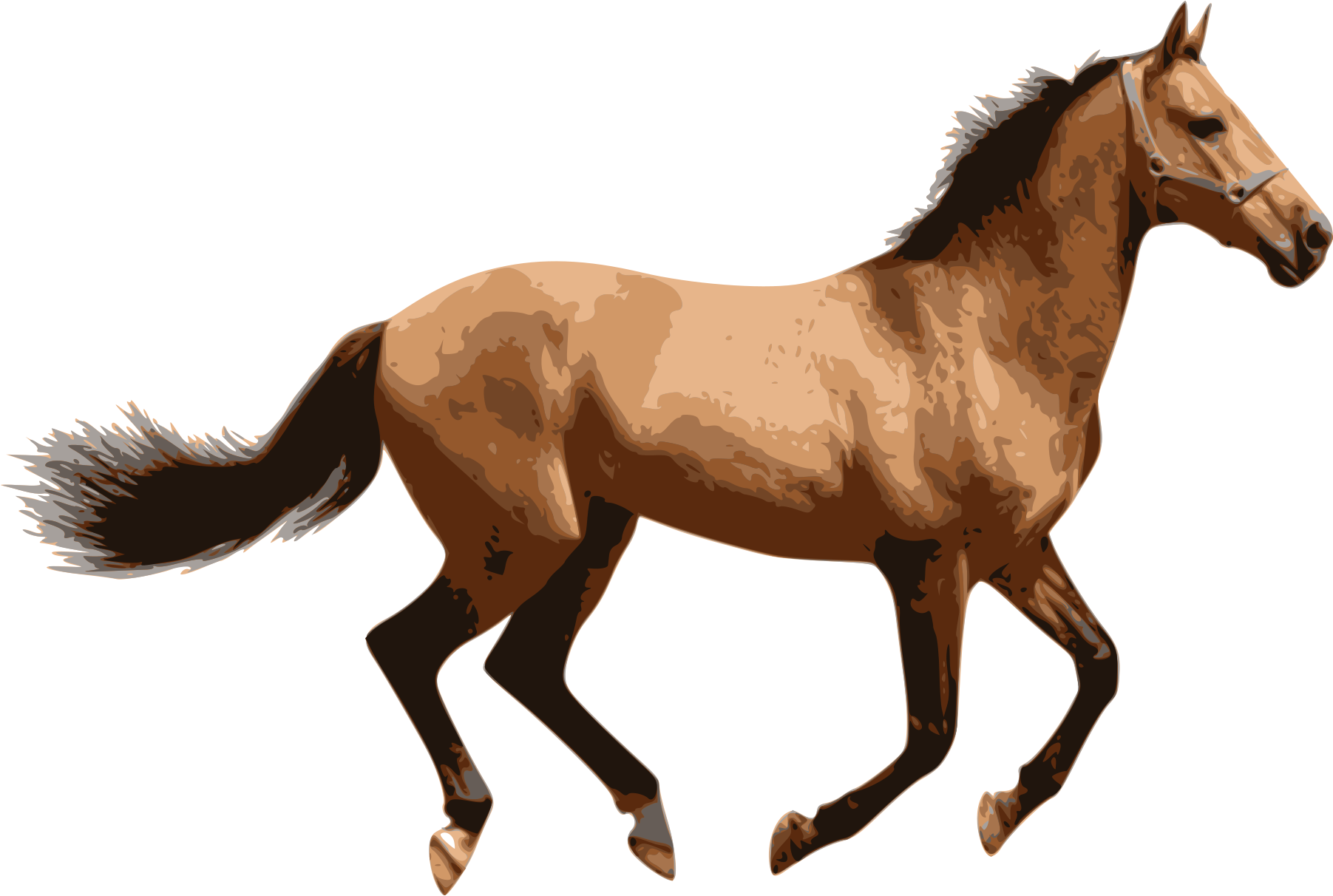 Caballo - Horse Png (2400x1697)