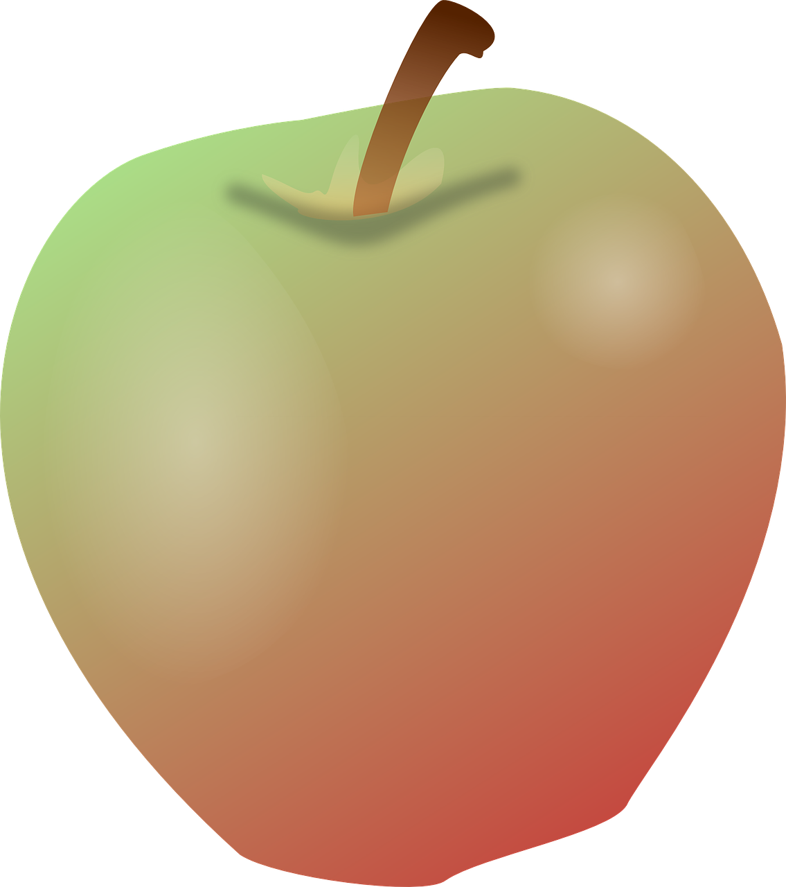 Free Pictures Plant - Apple (1135x1280)