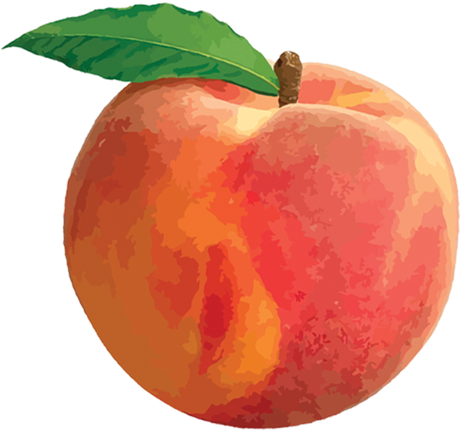 Free Clip Art Peach (1024x1024)