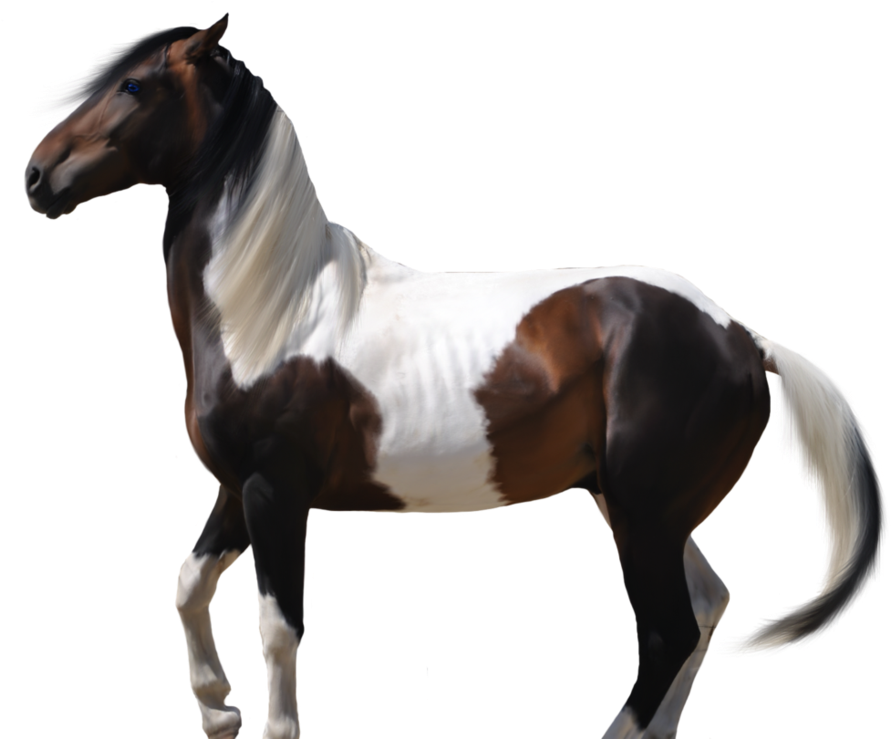 Eeliiswageditions 1 3 Caballo By Eeliiswageditions - Pre Cut Horse (900x738)