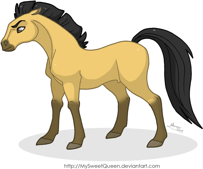Stallion Of The Cimarron By Mysweetqueen - Draw Spirit Stallion Of The Cimarron (800x693)