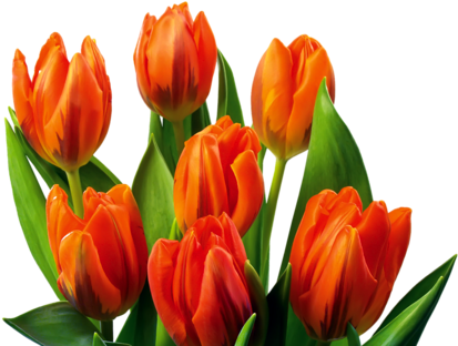 [ Img] - Гифы Лидия С Днем Рождения (500x313)