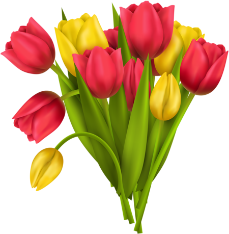 Png Lale Resimleri, Tulip Png Pictures - Vector Paint Flower Vase Png (455x500)