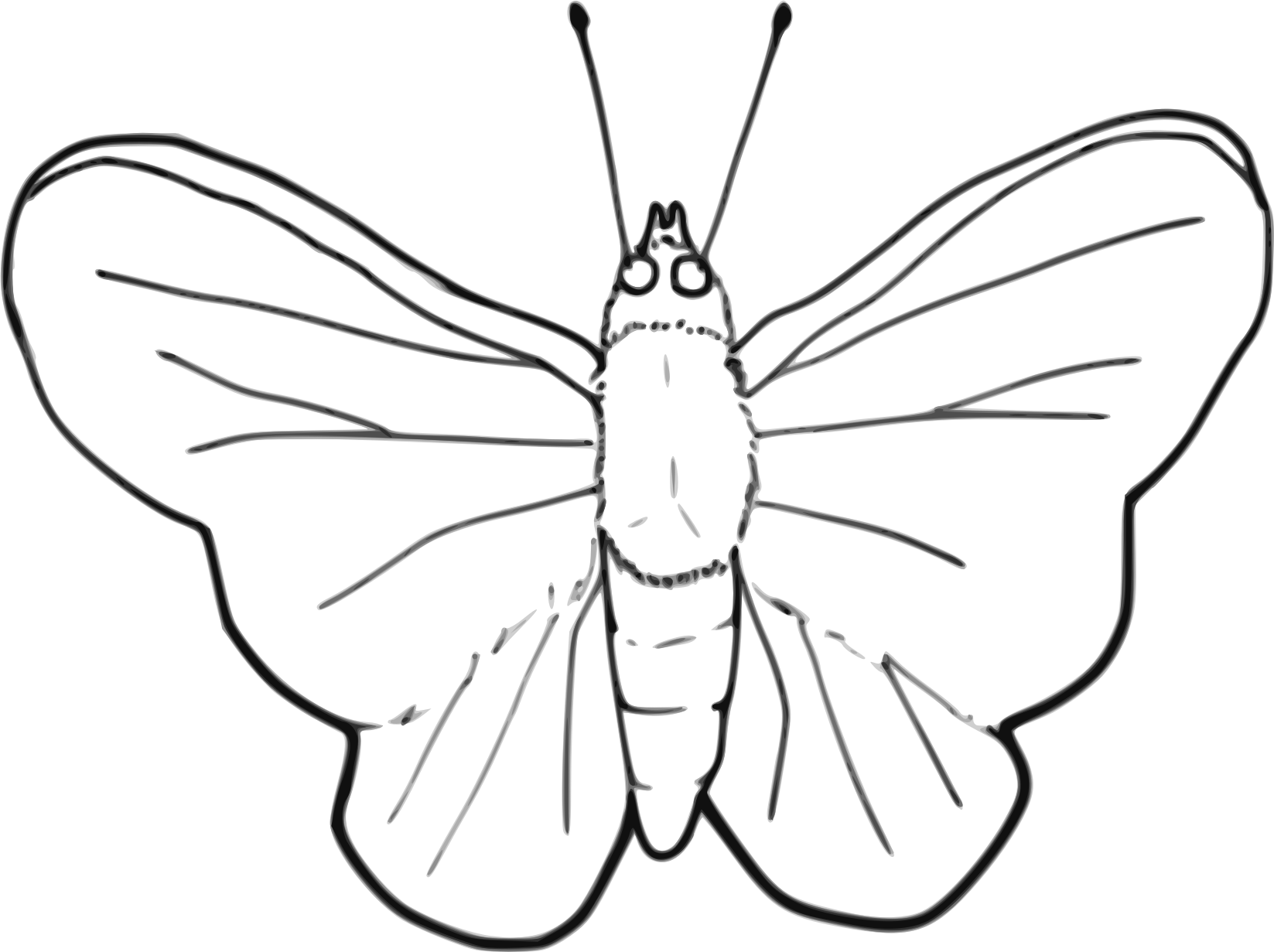 Big Image - Moth Black And White Clip Art (1647x1231)